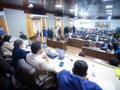 Auxílio financeiro para artistas do Carnaval é aprovado na Câmara de São Luís