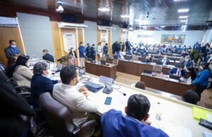 Auxílio financeiro para artistas do Carnaval é aprovado na Câmara de São Luís