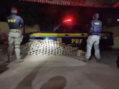Em menos de 24h, Polícia Rodoviária apreende mais de 180 kg no Maranhão