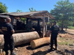 PF realiza fiscalização na Terra Indígena Arariboia