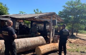 PF realiza fiscalização na Terra Indígena Arariboia