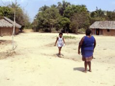 Justiça suspende licença de empresa que atuava em área quilombola de Brejo