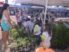 Feirinha Ribamar destaca diversidade sexual e ação de Meio Ambiente