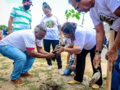 Prefeita Paula Azevedo realiza plantio de mudas na comunidade Novo Horizonte