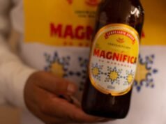 STF derruba lei do Maranhão que reduzia imposto da cerveja Magnífica