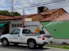 Prefeitura de São Luís reforça ações de combate ao Aedes aegypti