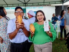 Em Paço do Lumiar, projeto pioneiro implantará indústria de beneficiamento de cacau orgânico