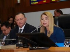 Iracema Vale convoca Sessão Extraordinária para próxima segunda-feira na Assembleia