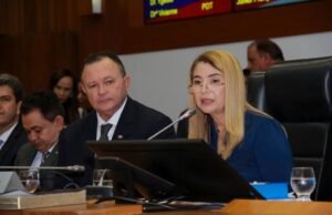 Iracema Vale convoca Sessão Extraordinária para próxima segunda-feira na Assembleia