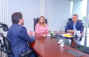 Iracema Vale discute projetos de conectividade com ministro das Comunicações