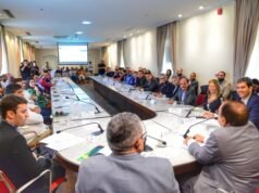 Braide retorna aos Leões