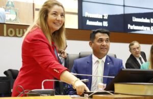 Aprovado PL de Iracema Vale que viabiliza denúncia de violência contra a mulher no ato da matrícula escolar