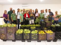 Produtos entregues por agricultores de Paço do Lumiar vão para a mesa de famílias em situação de vulnerabilidade social