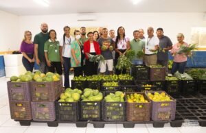 Produtos entregues por agricultores de Paço do Lumiar vão para a mesa de famílias em situação de vulnerabilidade social
