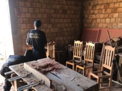 PF combate comércio ilegal de madeira no Maranhão