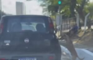Polícia diz que cachorro que viralizou na Internet não foi abandonado