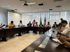 CCJ aprova projetos sobre carteira estudantil digital e programa de capacitação