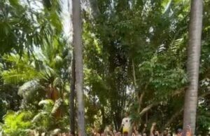 Gilvan Cabral oficializa apoio a Vinícius Vale para a prefeitura de Barreirinhas