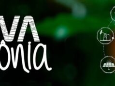 Sebrae e Governo anunciam edital para financiamento de projetos com foco na Amazônia