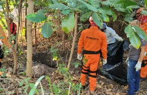 Polícia encontra corpo de consultor desaparecido em São Luís