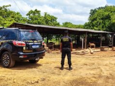 PF realiza mais uma fase da Operação Araribóia no Maranhão