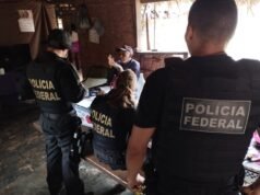 Operação combate extração ilegal de madeira no Maranhão