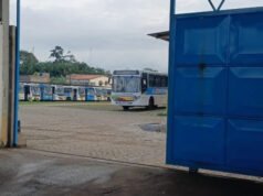 Grande Ilha de São Luís permanece sem trabalho coletivo