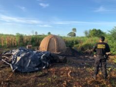 PF prende madeireiros no Maranhão por extração ilegal em terras indígenas