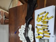 PF deflagra operação contra caça ilegal em Territórios Indígenas no Maranhão