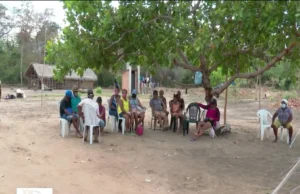MPF consegue na Justiça revisão da licença ambiental de linha de transmissão em territórios quilombolas do MA