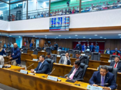 Assembleia apresenta balanço das ações parlamentares do primeiro semestre