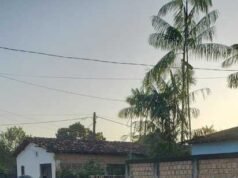 Cinco são presos acusados de integrar facção criminosa