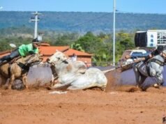 MP recomenda adoção de providências a organizadores de vaquejada em Amarante