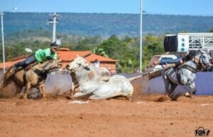 MP recomenda adoção de providências a organizadores de vaquejada em Amarante