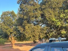 PF investiga esquema de grilagem de terras no Maranhão