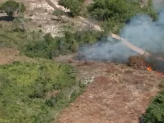 Justiça condena 2 pessoas por desmatamento de vegetação nativa no Maranhão