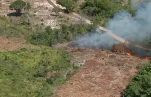Justiça condena 2 pessoas por desmatamento de vegetação nativa no Maranhão