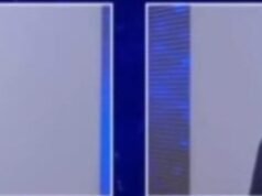 Wellington detona Yglésio: “Desesperado e mau-caráter”