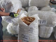 Apreendida 1 tonelada de bexiga natatória no aeroporto de São Luís