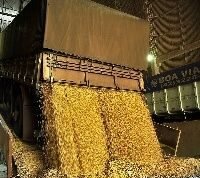 Produção agrícola no MA atinge R$ 11,4 bilhões em 2023