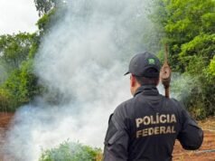 PF deflagra Operação Encadeamento em Grajaú