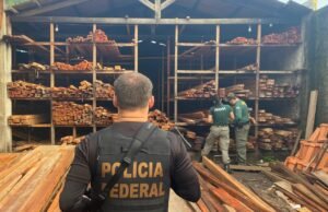 PF realiza no Maranhão operação contra recepção ilegal de madeira e fraudes ambientais