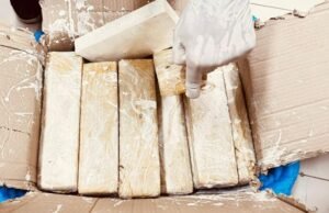PF apreende 38 kg de maconha no aeroporto de São Luís