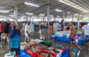 Entreposto Pesqueiro fortalece cadeia de pescados no estado