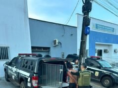 Polícia realiza operação na Baixada contra faccionados