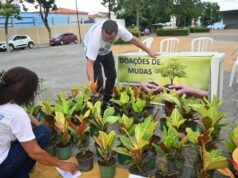 Semana do Meio Ambiente é encerrada com distribuição de mudas em São José de Ribamar