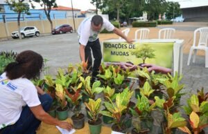 Semana do Meio Ambiente é encerrada com distribuição de mudas em São José de Ribamar