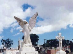 Município de São Luís é condenado a promover licenciamento ambiental de cemitérios públicos