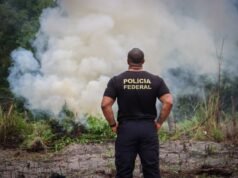 No Maranhão, PF realiza operação de combate ao plantio ilegal de maconha