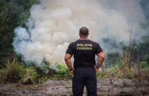 No Maranhão, PF realiza operação de combate ao plantio ilegal de maconha